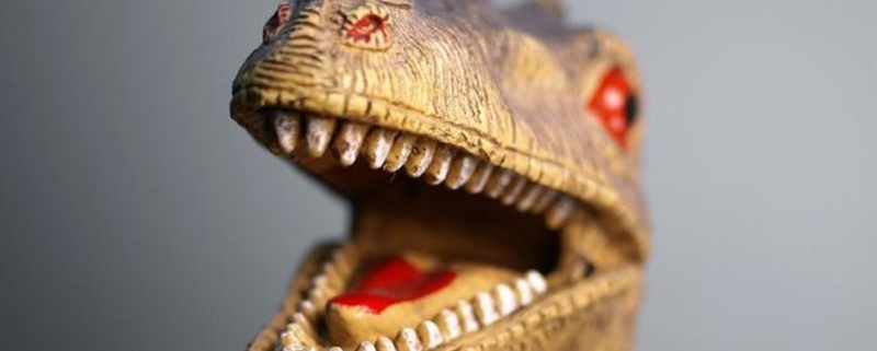 Prepara una fiesta de dinosaurios para niños - El Castillo Mágico